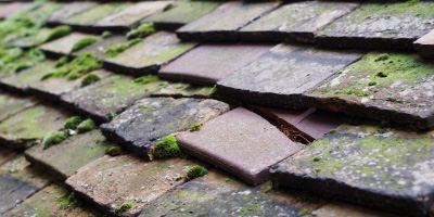 Latchingdon roof repair costs